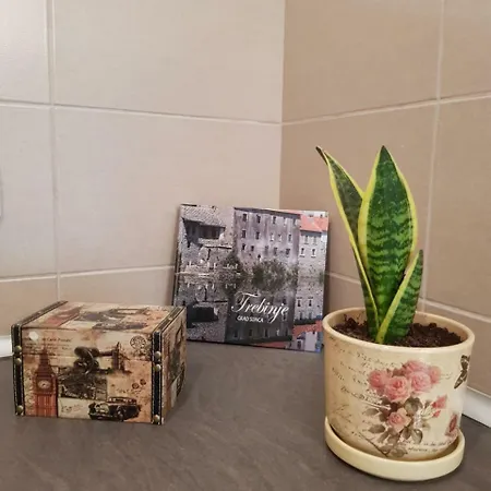 Aurora Apartman *